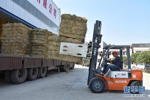 >衡阳县农民在"打包中心"将秸秆压缩,捆扎成大包后装上大货车,准备运